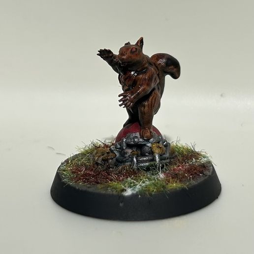 Squirrel star player