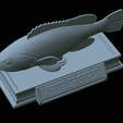 White-grouper-statue-45.png fish white grouper / Epinephelus aeneus statue detailed texture for 3d printing