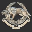 15.jpg Special Operations Forces Ukraine SSO