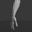 a3.png Anatomia do músculo do braço humano Modelo 3D | Estrutura realista do antebraço e da mão | Modelo de estudo anatómico