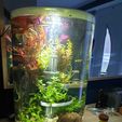 IMG-20201212-WA0010.jpg Modularized terrace system for biOrb fish tank