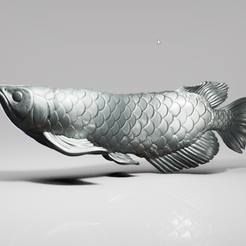 00.png Free STL file Arowana・3D printing model to download, F-solo