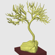bonsai-1.png Bonsai