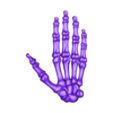 Hand-Bones-Anatomy.stl ossos da anatomia humana da mão