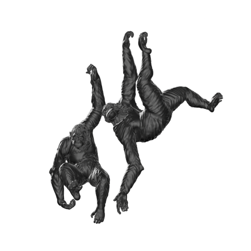 IMG_8570.png hanging monkeys