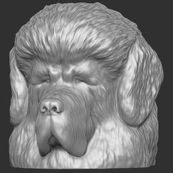 1.jpg Fichier STL Tête de chien Mastiff tibétain pour l'impression 3D・Modèle à télécharger et à imprimer en 3D