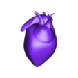 corazon.obj Human Heart model