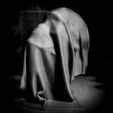 rongy_6.jpg Invisible hidden ghost skull in cloth - two types