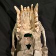 IMG_0286.JPG Troll Skull