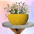 11.jpg MOON PLANTER