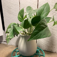 Plantirsersmall.png STL file 8" Flower Pot Riser・3D printing model to download