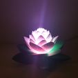 20190703_154014.jpg Fichier 3D gratuit Lampe Lotus #POLYMAKERCHALLENGE・Objet pour impression 3D à télécharger