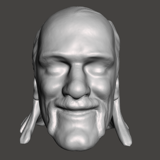 STL file WWE WWF LJN Style Hulk Hogan Head Sculpt・3D printable model to ...