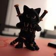 IMG_4779.jpg Ninja Cat