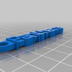 msgkeychainv2_20150930-20103-rtqk91-0.png Free 3D file Panthers Keychain・Design to download and 3D print
