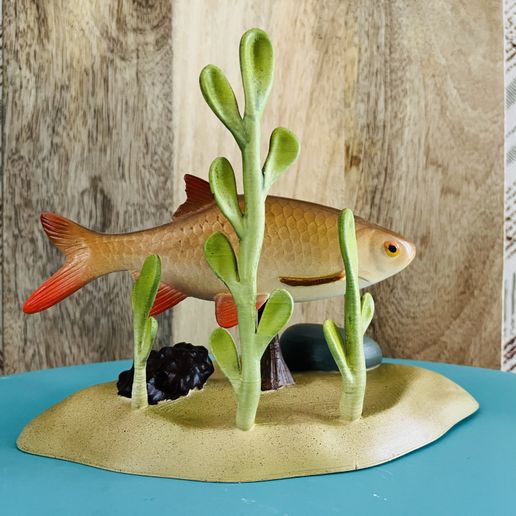 Natural-base-rudd-2.jpg Ruder auf (optionalem) Sockel