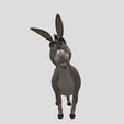 IMG_8017.jpeg Donkey (Pocket Shrek) And (Animations)