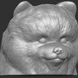 4.jpg Puppy of Pomeranian dog head for 3D printing