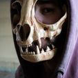 IMG_4304.jpg Cat Skull Mask ARTICULATED