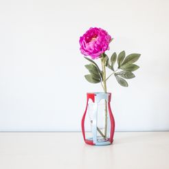 _MG_2084.jpg Файл 3D Evasore | flowerpot・Модель для печати в 3D скачать
