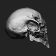 fabian-huwel-right.jpg Alien Birdman Skull