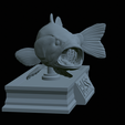 Bass-mouth-2-statue-4-20.png fish Largemouth Bass / Micropterus salmoides in motion open mouth statue detailed texture for 3d printing
