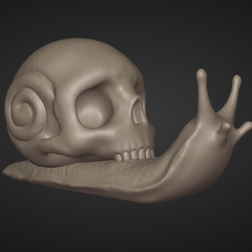 Skull Snail 3D model
