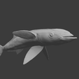 Quarter.png Remora with Whaleshark Wall Art