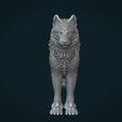 Wolf_IIIx-15.jpg Wolf IV