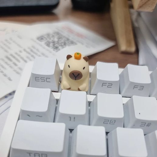 ⌨️ Pack 5 Keycaps Capybara・ STL File for 3D printing・Cults