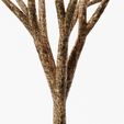 12.jpg Tree Bark PBR Texture