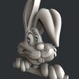 P182-2.jpg bunny