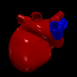 2.png 3D Model of Heart after Fontan Procedure