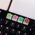 succulents_04.jpg Суккуленты Растения Клавиатуры - Механическая клавиатура
