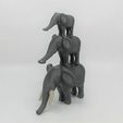 IMG_4257-(2).jpg African Elephant Mama & Babies