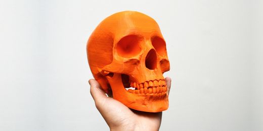 Откройте для себя в этой подборке 3D моделей все лучшие STL файлы черепов