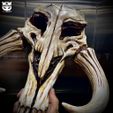 Mythosaur Skull High Quality - Mandalorian Starwars Movie
