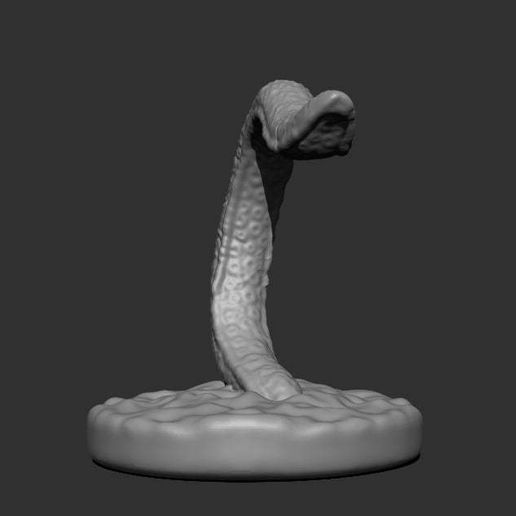 tentacle_front.jpg Щупальце Кракена