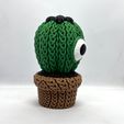 KEC-2.jpeg Вязаный глазчатый кактус