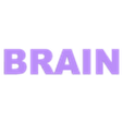 BRAIN.stl MKS_Gen_L v1.0 (Brainbox)