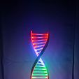 1700048336815.jpg DNA Neopixel desktop lamp