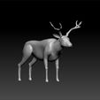 derr44_1.jpg Deer - realistic deer - deer for game unity3d - deer for ue5