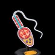 Sperm-Cell-1.jpg Sperm Cell