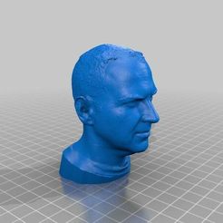 Cory_Doctorow_-_Decimated_head_-_netfabb_Studio_Pro.jpg Free STL file Cory Doctorow's decimated head for 3D printing・3D printable design to download