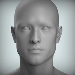 300.80.jpg 8 Male Head Sculpt 01 3D model Low-poly 3D model
