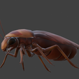 Captura-de-pantalla-2025-08-29-093720.png Cute Cartoon Cockroach - Whimsical Insect 3D Print Model STL