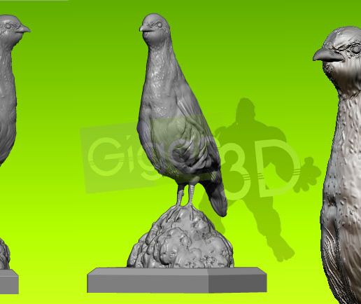 🐦 Partridge bird・ 3D File for ・Cults