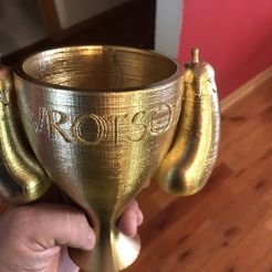 STL file Italian Cup, Trophy, Leos3D 🤌・3D printable model to download・Cults