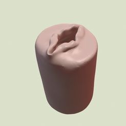 Сохраненное изображение 2020-6-25_1-32-35.247.jpg STL file vagina massager for penis / MALE MASTURBATOR VIRGIN bdsm Adult Sex XXX・3D printer design to download