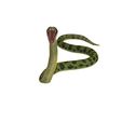 0_00068.jpg DOWNLOAD ANACONDA 3d model - animated for blender-fbx-unity-maya-unreal-c4d-3ds max - and 3D printing ANACONDA VIPER SNAKE PYTHON COBRA PITON BASILIK BOA